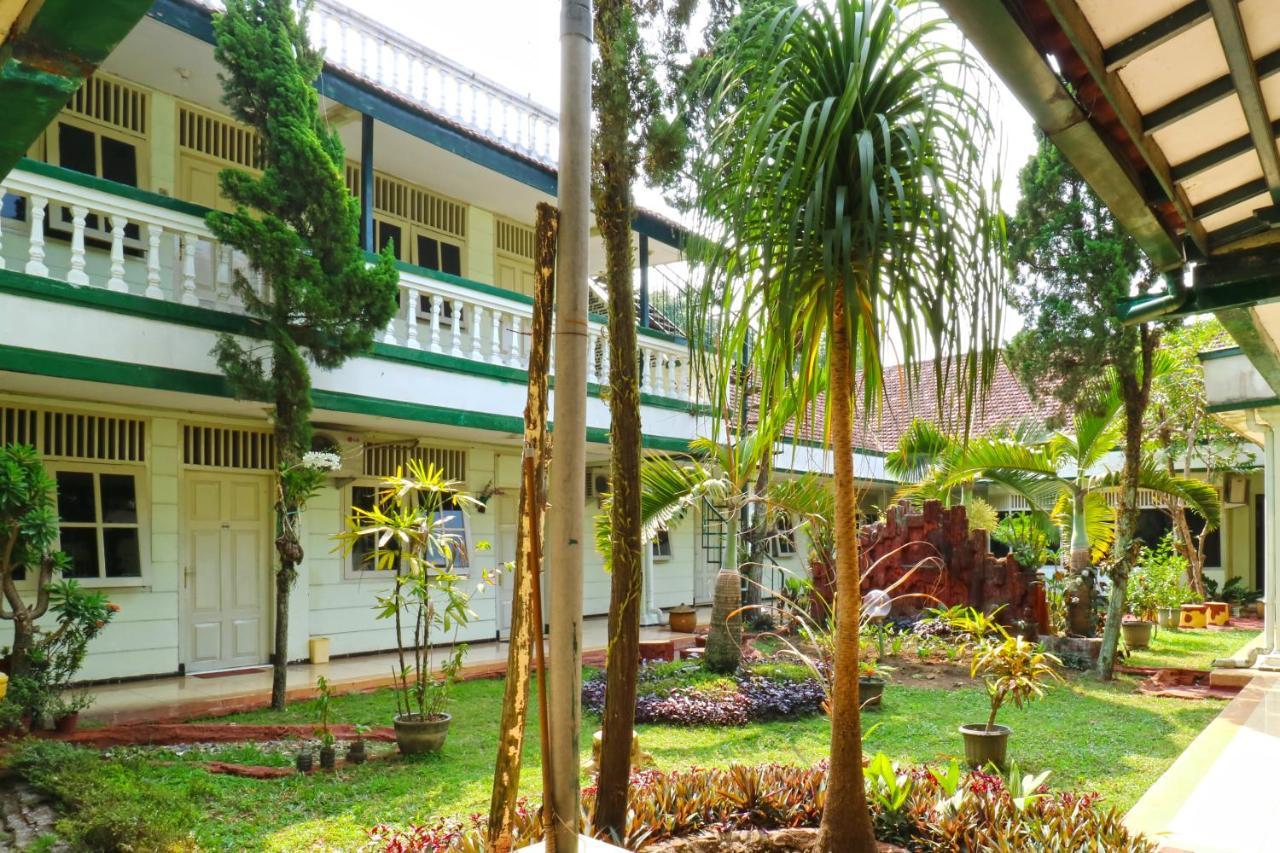 Hotel Camelia مالانغ المظهر الخارجي الصورة