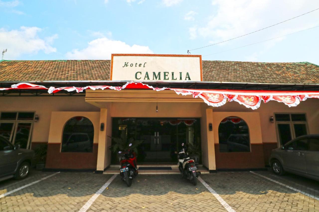 Hotel Camelia مالانغ المظهر الخارجي الصورة