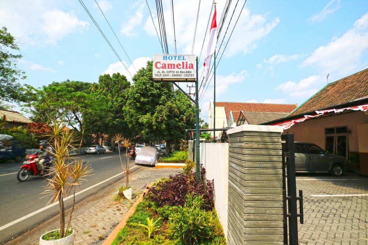 Hotel Camelia مالانغ المظهر الخارجي الصورة